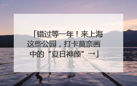 错过等一年！来上海这些公园，打卡莫奈画中的“夏日神颜”→